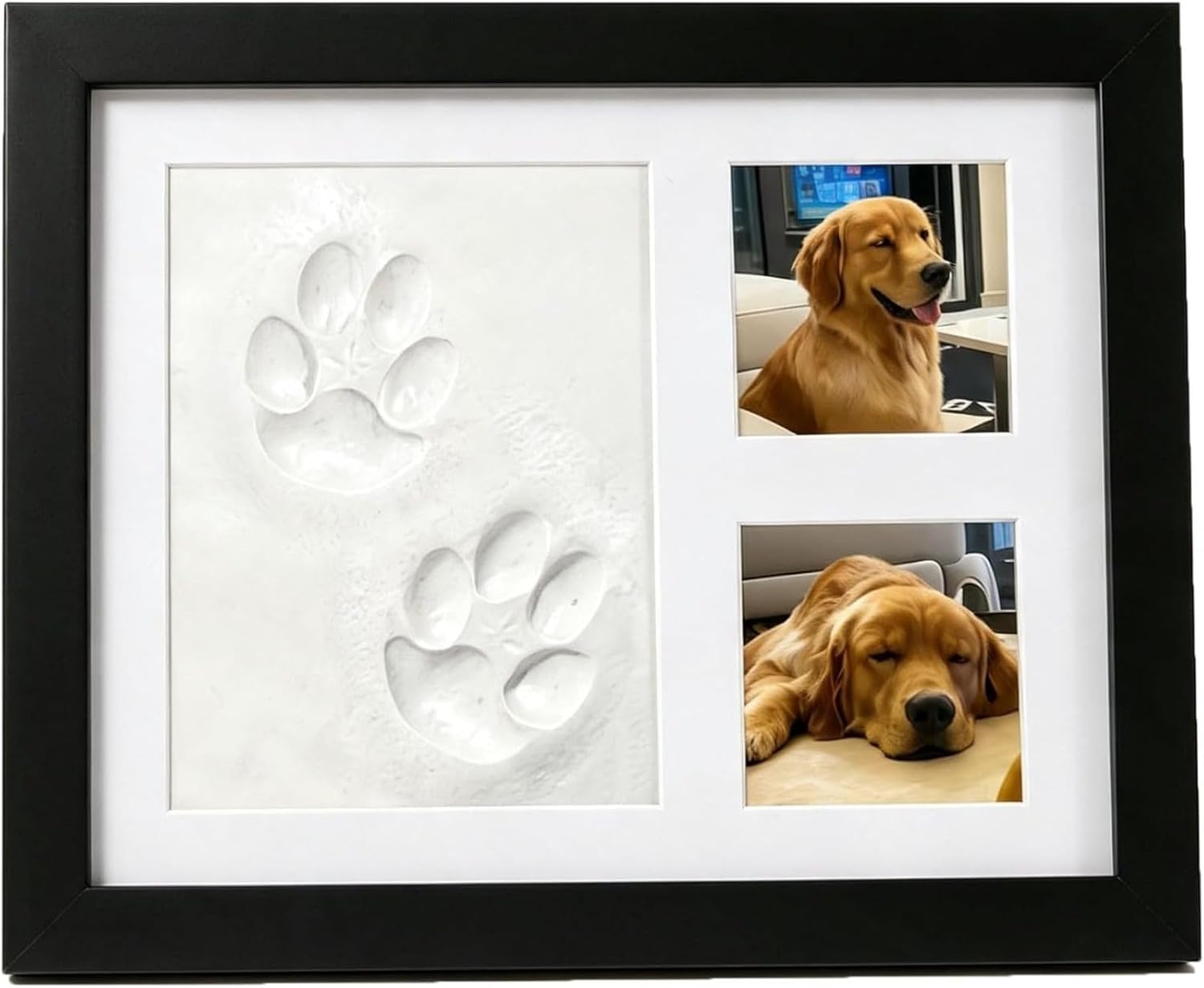 Photographic Memory - DIY Pet Paw Print Memorial Kit