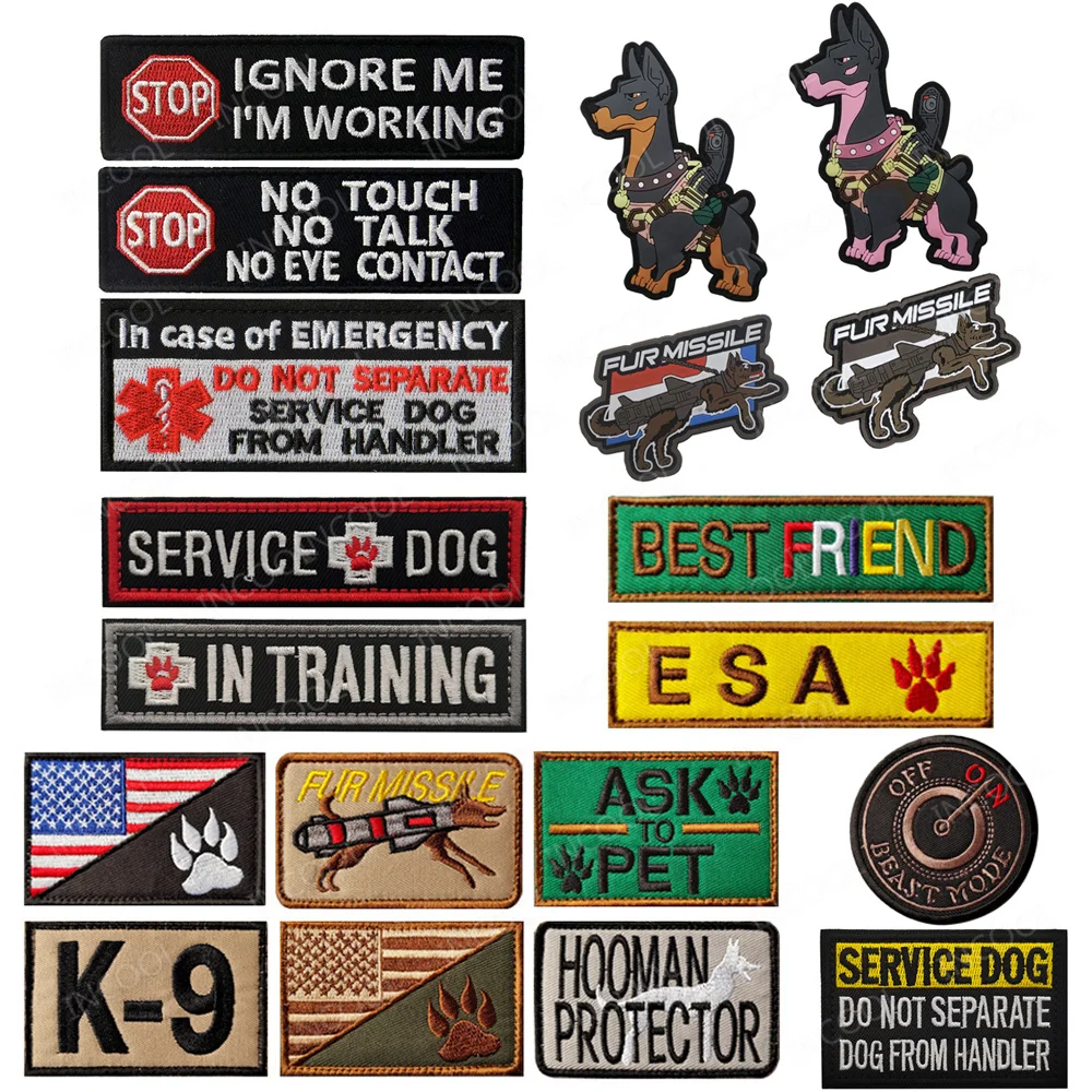 Best Friend ESA Service Dog Wo - огляд і ціна Photography Job